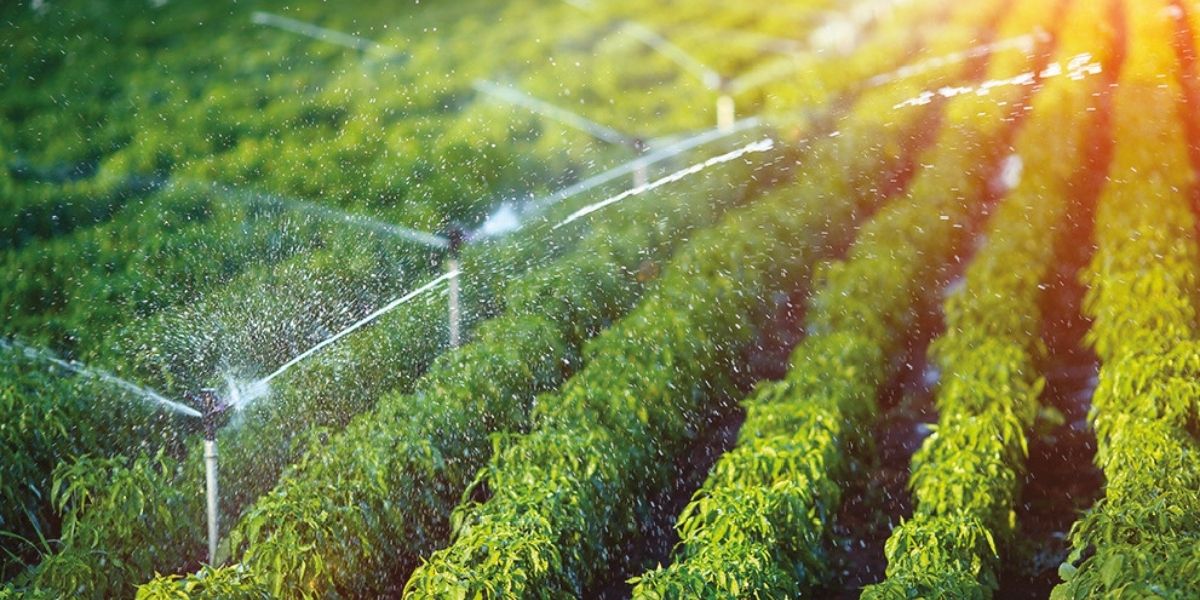 Maroc - Japon : un prêt de 3,9 milliards de dirhams pour transformer l’hydro-agriculture du Gharb